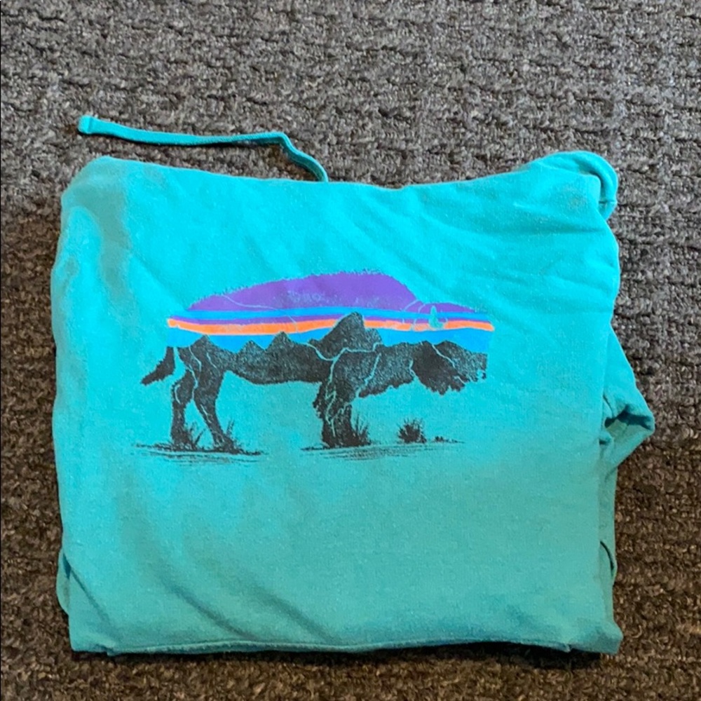 Patagonia hoodie